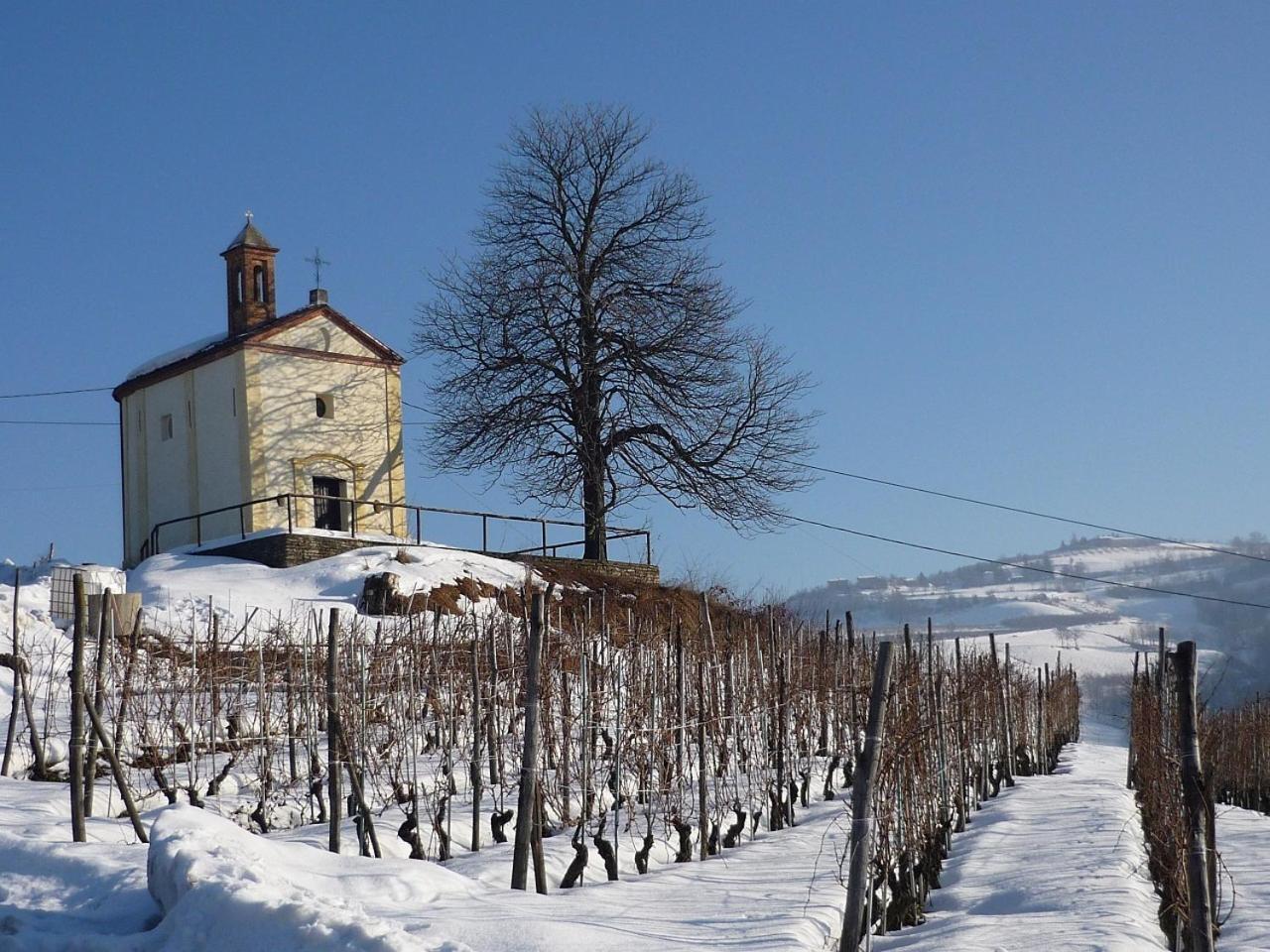 Cascina Sant'Eufemia Villa Sinio Dış mekan fotoğraf