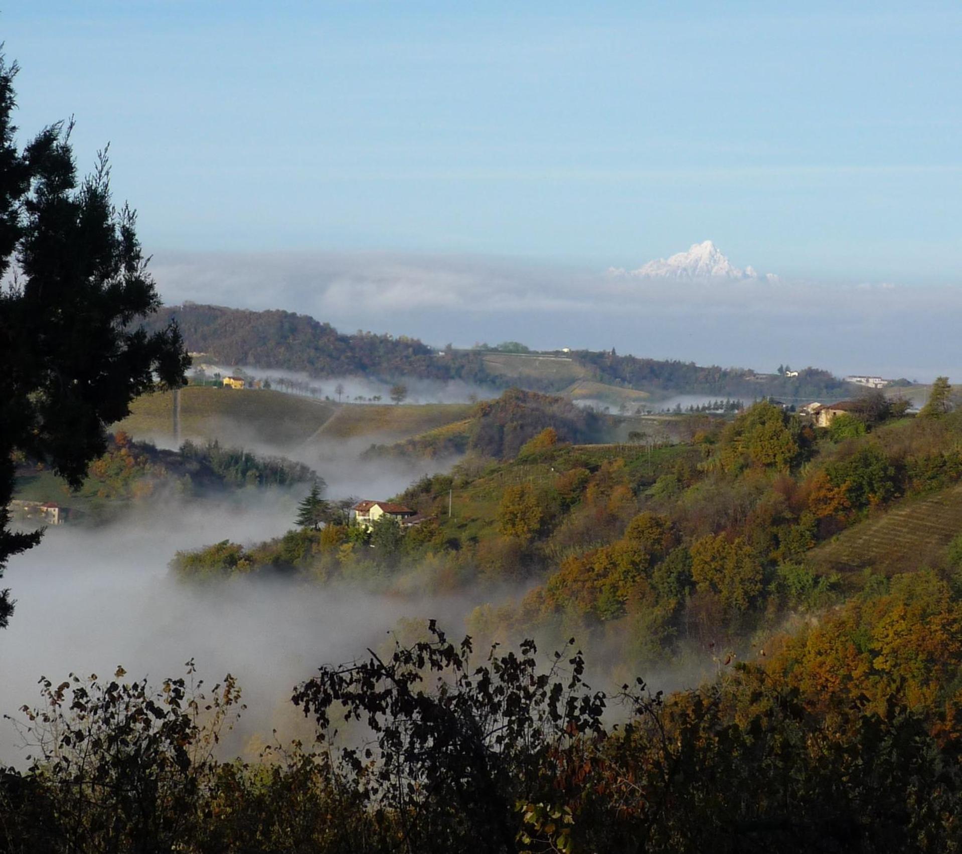 Cascina Sant'Eufemia Villa Sinio Dış mekan fotoğraf