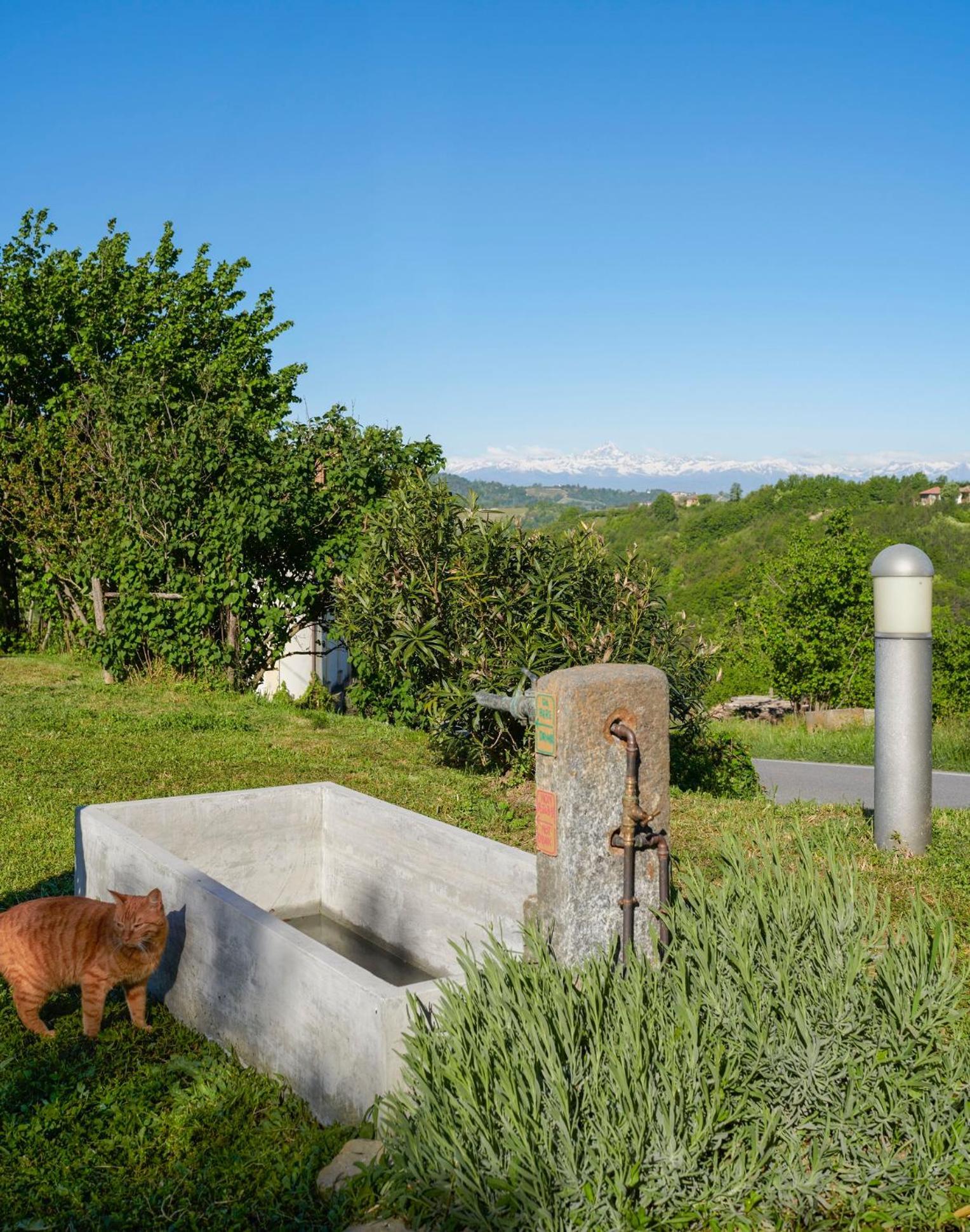 Cascina Sant'Eufemia Villa Sinio Dış mekan fotoğraf