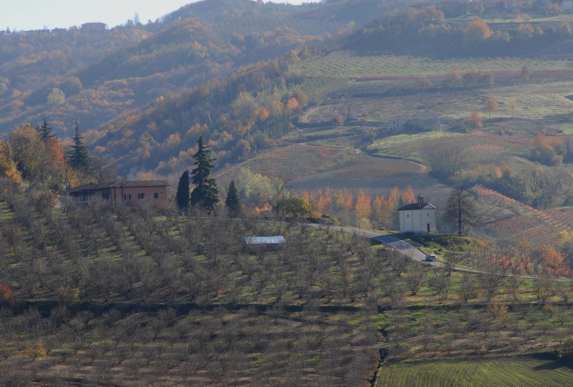 Cascina Sant'Eufemia Villa Sinio Dış mekan fotoğraf