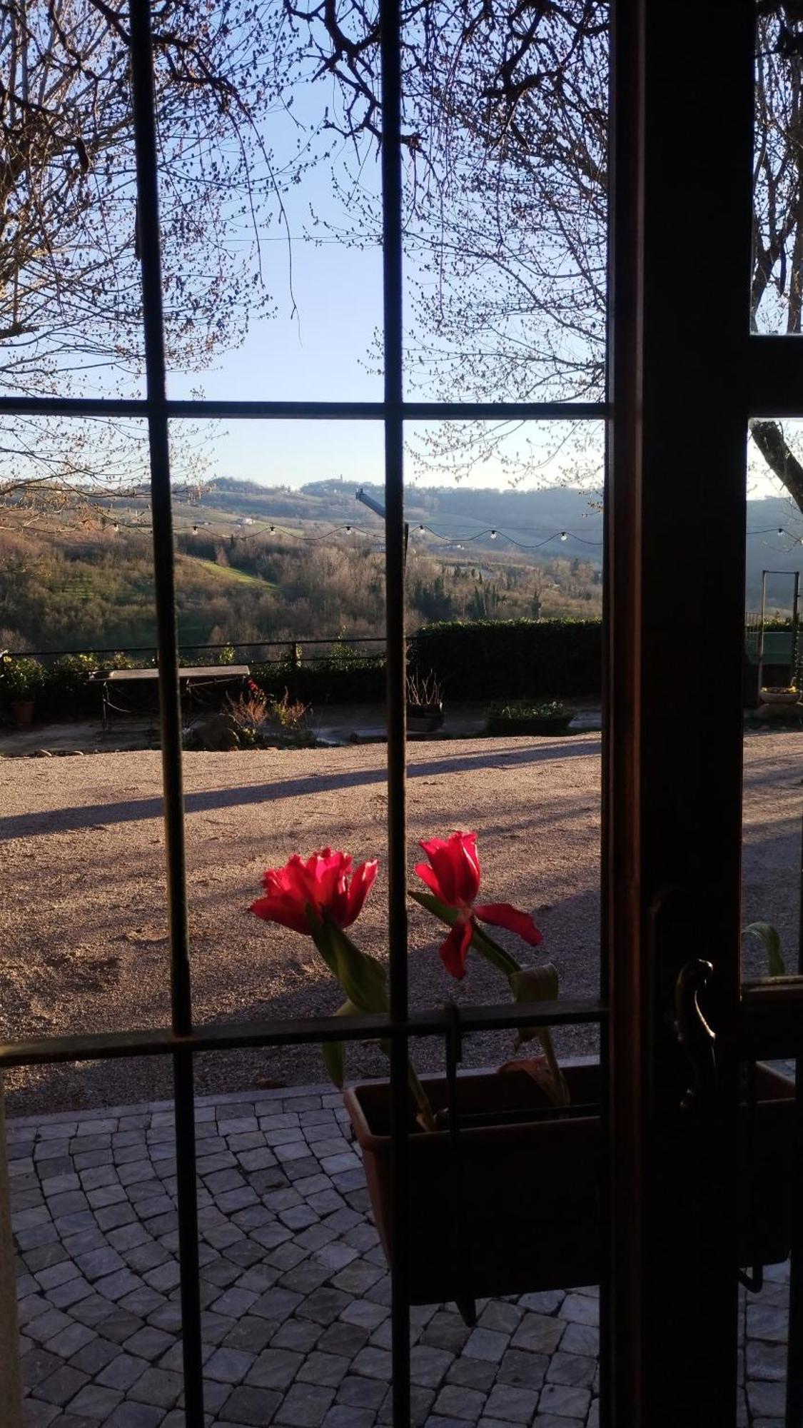 Cascina Sant'Eufemia Villa Sinio Dış mekan fotoğraf